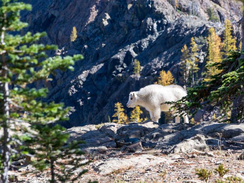 防关联风控设置<br>避免账号批量被封隔离方案